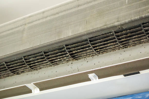 Best Ventilation Cleaning Services  in Cvallis, OR